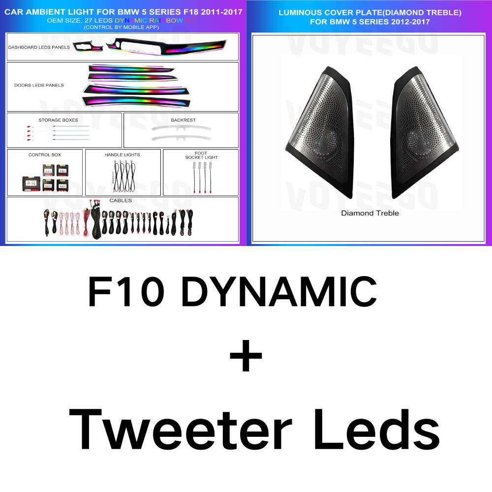 5 Series F10 F11 F18 2011-2017 Dynamic Ambient Lighting | Customized Kit