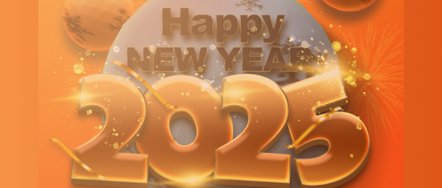 Happy New Year 2025! Thanks for your company with VOYEEGO’s 2024 Accomplishments