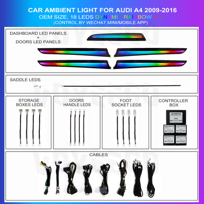 A4 2009-2016 Ambient Lighting | Dynamic Rainbow