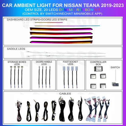 Teana 2019-2023 Ambient Lighting Rainbow Kit