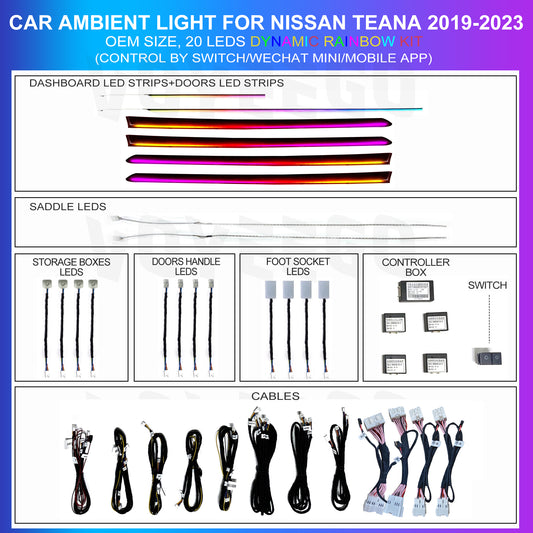 Teana 2019-2023 Ambient Lighting Rainbow Kit