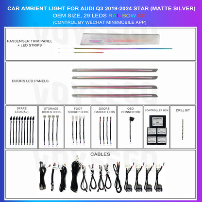 Q3 2019-2024 Interior Ambient Lighting 29 Leds | Matte Sliver Starry