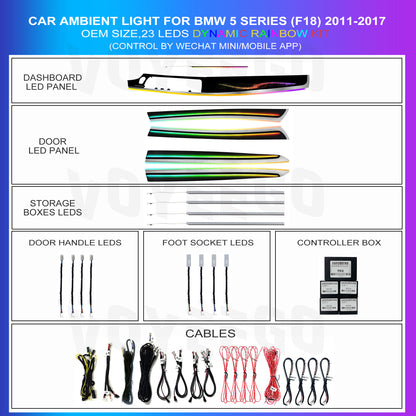 5 Series F10 F11 F18 2011-2017 Dynamic Ambient Lighting | Customized Kit