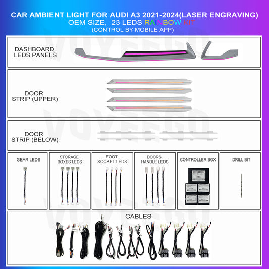 A3 2021-2022 64 Colors Ambient Lighting 24 Leds | Matte Silver