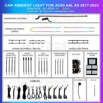 A4 B9 2017-2023 OEM Dynamic Ambient Lighting Kit | Rainbow