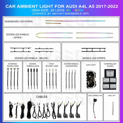 A4 B9 2017-2023 OEM Dynamic Ambient Lighting Kit | Rainbow