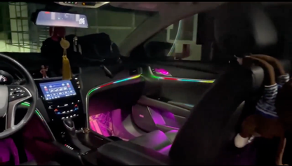 XTS Ambient Lighting 19 Leds | Rainbow Kit