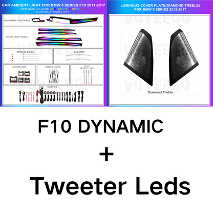 5 Series F10 F11 F18 2011-2017 Dynamic Ambient Lighting | Customized Kit