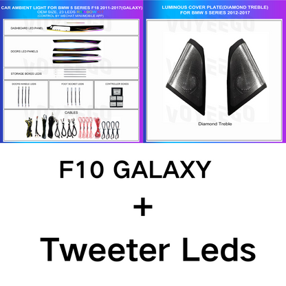 5 Series F10 F11 F18 2011-2017 Dynamic Ambient Lighting | Customized Kit