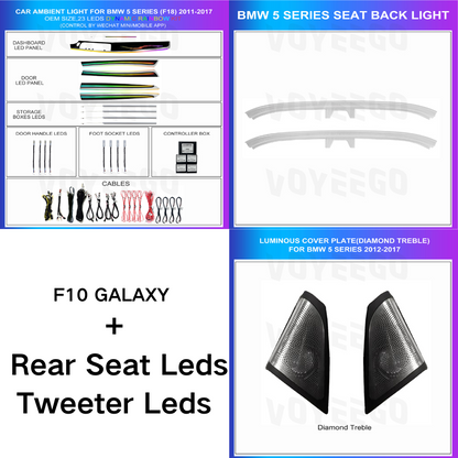 5 Series F10 F11 F18 2011-2017 Dynamic Ambient Lighting | Customized Kit