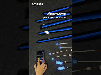 A4 B8 B8.5 2009-2016 Ambient Lighting | Dynamic Rainbow